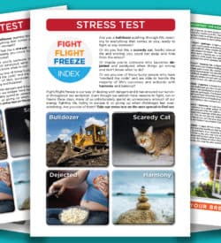 Brochure: Stress Test
